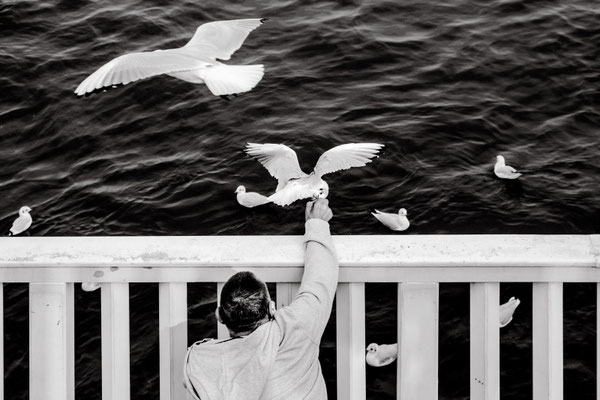 Bild 7: Raubtierfütterung