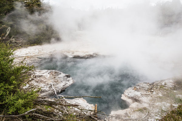 Parco termale a Rotorua - New Zealand - Nuova Zelanda