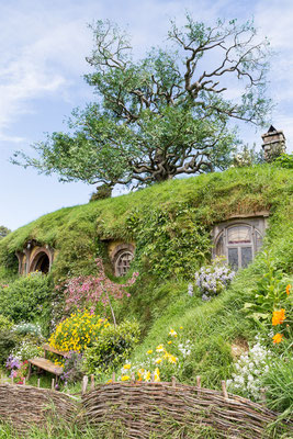 Hobbiton Movie Set - New Zealand - Nuova Zelanda