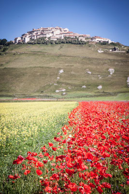 Umbria - Castelluccio di Norcia è famoso per la fioritura delle lenticchie che ogni anno attira centinaia di turisti