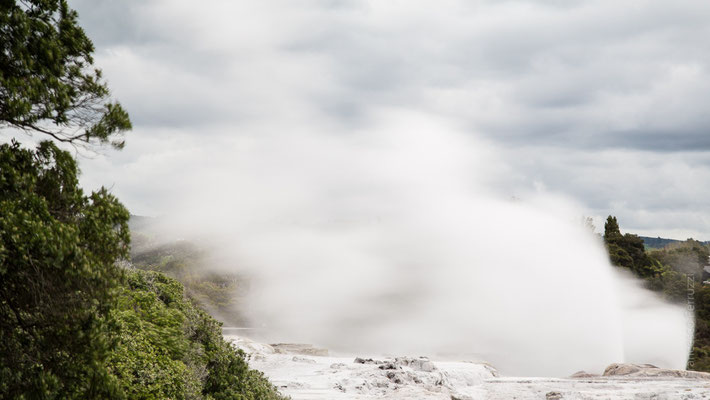 I geyser di Rotorua, visibili attraverso l'accesso da due villaggi Maori della città