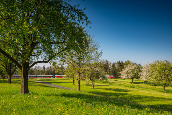 Mörschwil