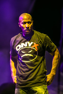 ONYX Fredro Starr