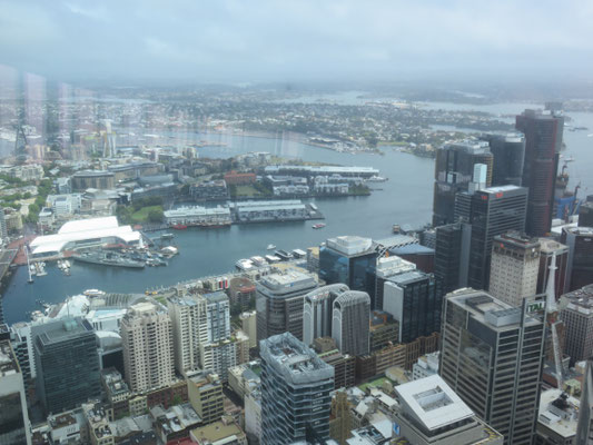 Sydney Tower Eye. Blick vom Aussichtsturm