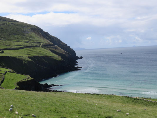 Aussicht von Slea Head Drive