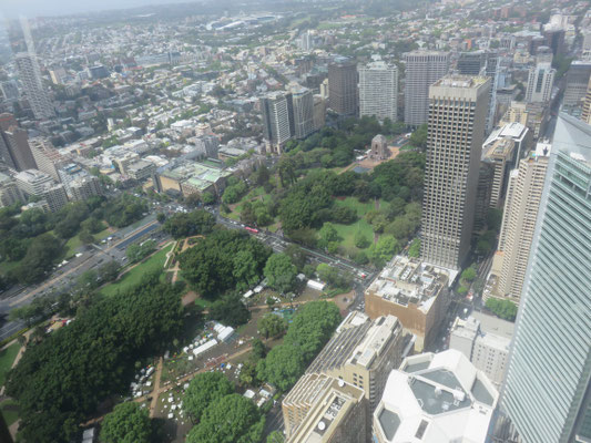 Sydney Tower Eye. Blick vom Aussichtsturm