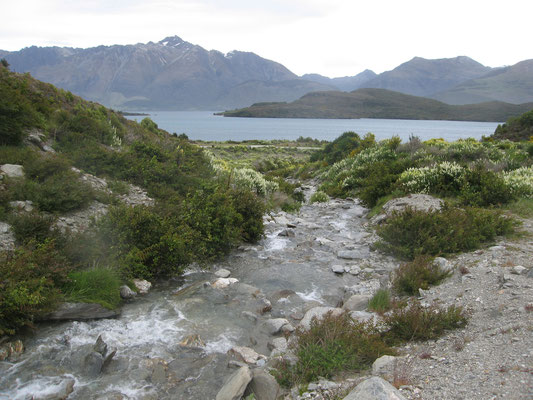 Lake Wakatipu