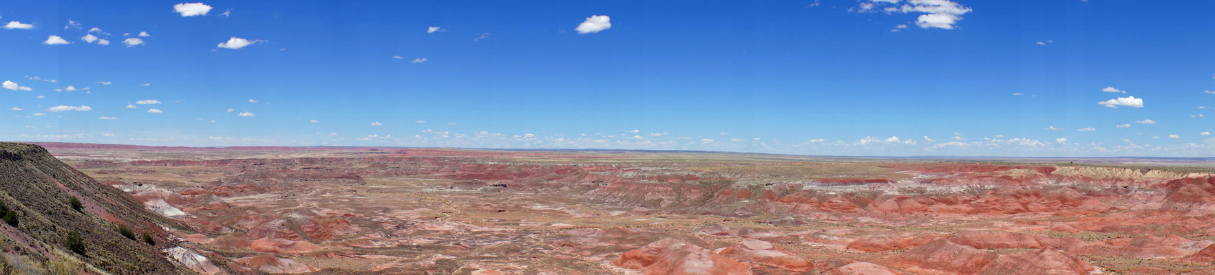 Petrified Forest NP