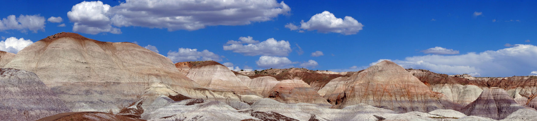 Petrified Forest NP