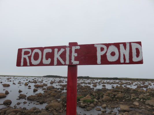 Rockie Pond