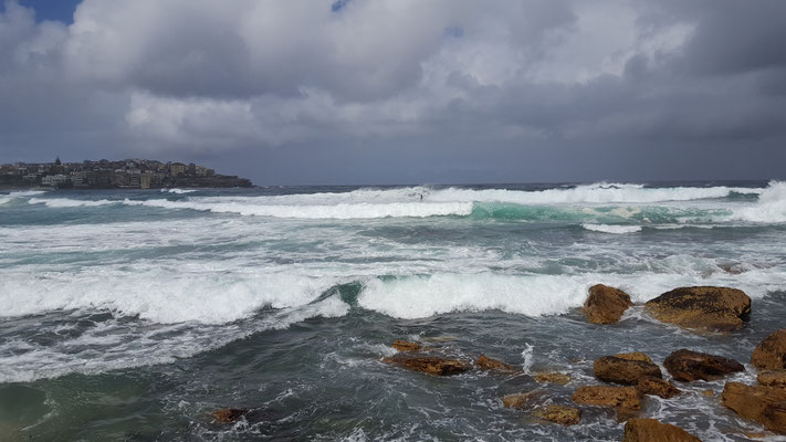 Bondi Beach