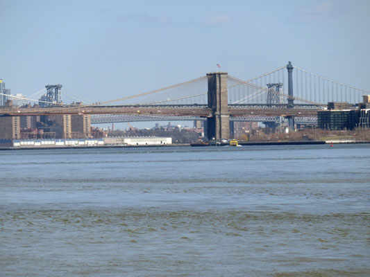 (X) Brooklin Bridge