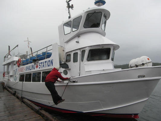 Unser Boot für die Walbeobachtung