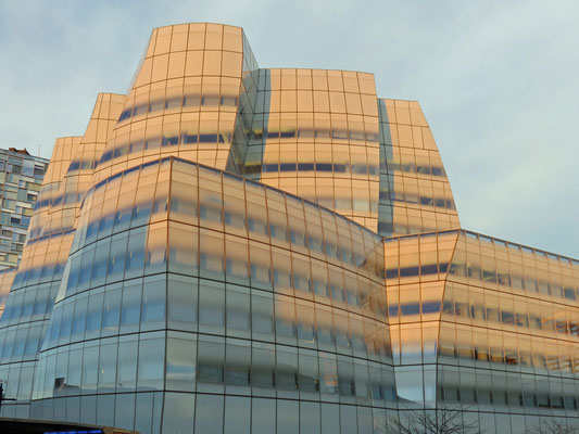 (V) IAC Building