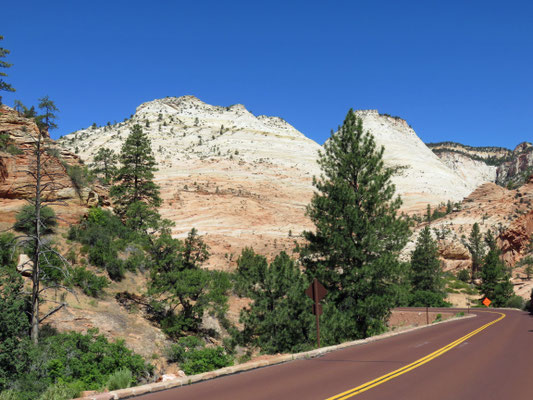 Zion National Park