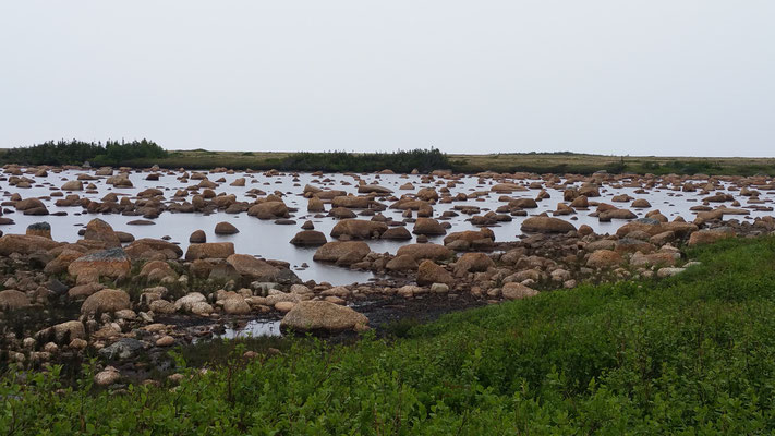 Rockie Pond