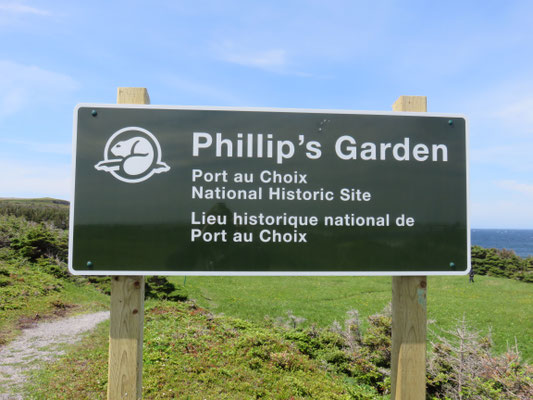 Phillips Garden. Port aux Choix