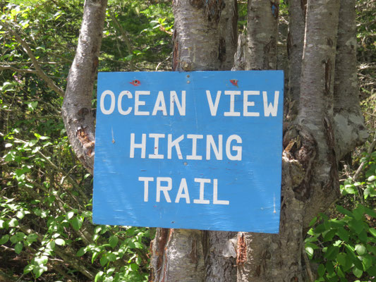 Fleur de Lys Ocean View Hiking Trail