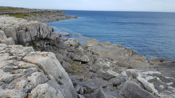 Phillips Garden. Port aux Choix