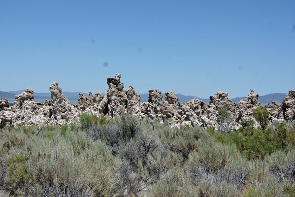 Kalktuff-Gebilde am Mono Lake