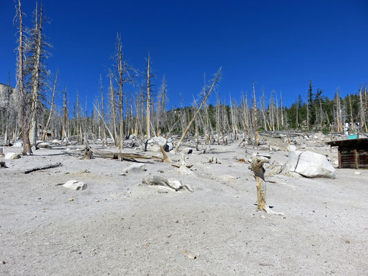 Horse Shoe Lake: Unwirkliche Landschaft infolge überhöhtem CO2-Ausstoss aus der Erde