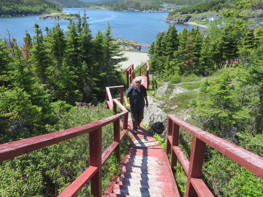 Fleur de Lys Ocean View Hiking Trail