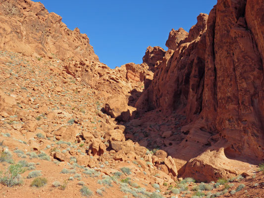 Valley of Fire