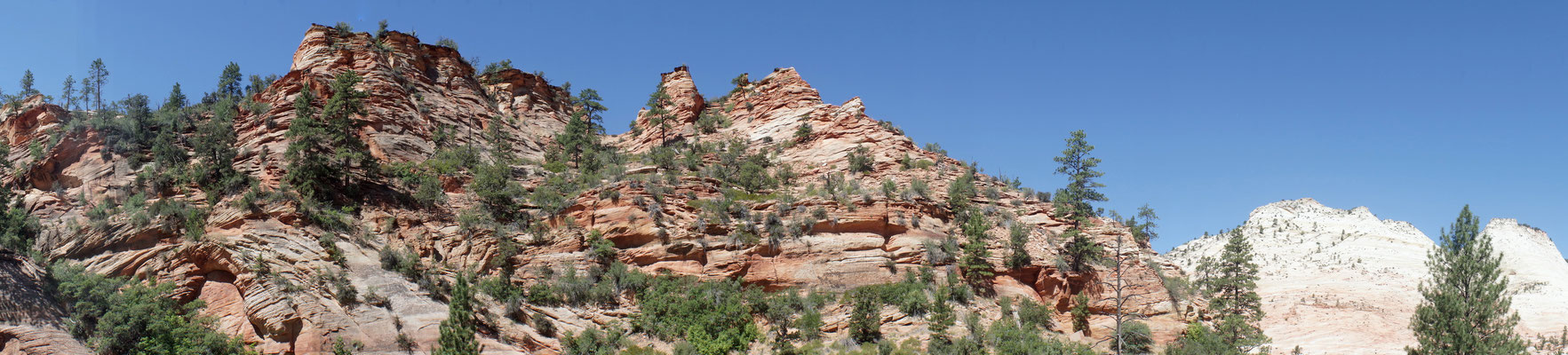 Zion National Park