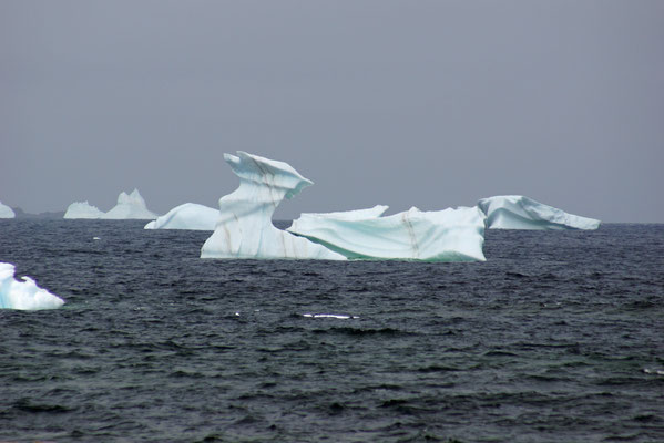 Eisstücke aus Grönland vor Joe Batts Point