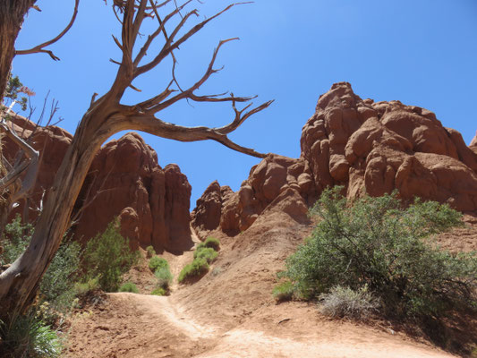 Shakespeare Arch Trail Kodachrome Basin State Park 