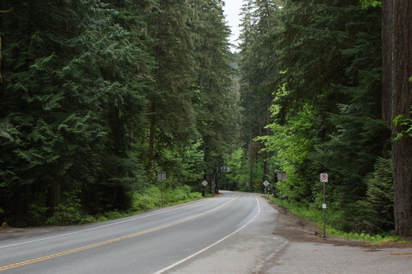 Strasse durch den MacMillan Provincial Park