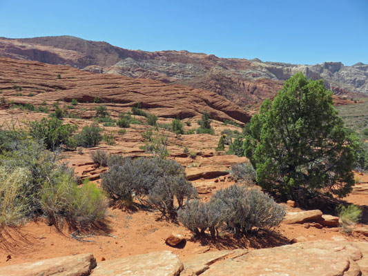 Snow Canyon