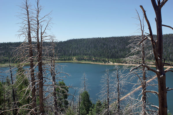 Navajo Lake