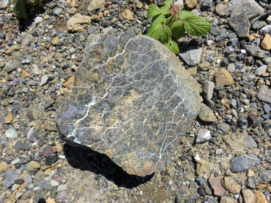 Serpentin Tablelands Trail