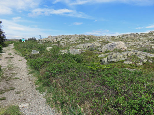 Lions Den Hiking Trail