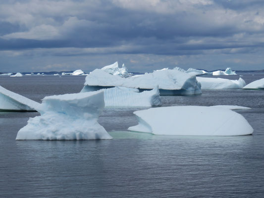 Fogo Eisstücke aus Grönland
