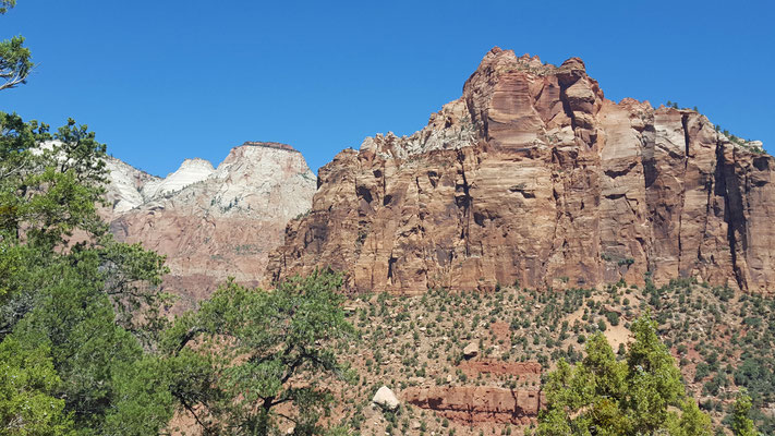 Zion National Park