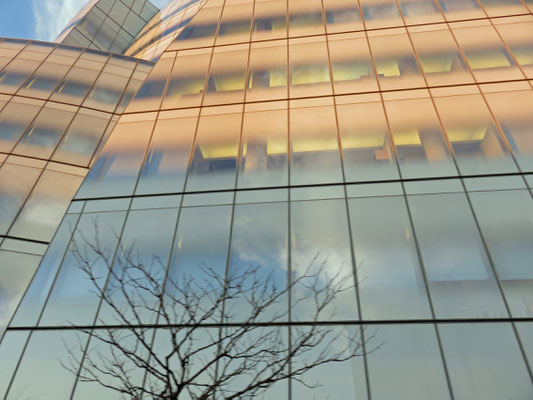 (V) IAC Building