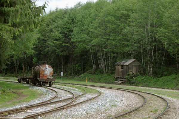 Eisenbahn für den Holztransport