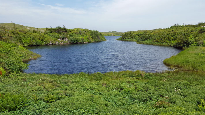 Isle aux Morts Harvey Trail