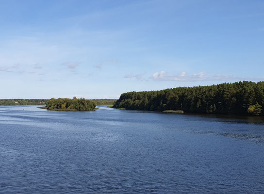 Unterwegs auf der Wolga in der Nähe zwischen Pleshkovo und Selishchi