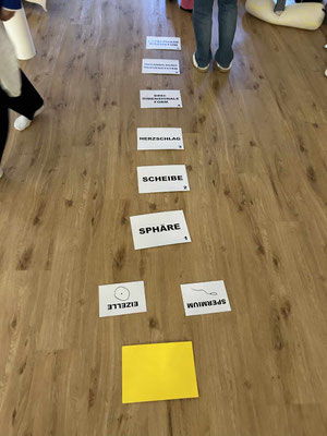 Christl Lieben Aufstellungsformat "Von der Anfänglichen Gestalt bis zur Geburt"