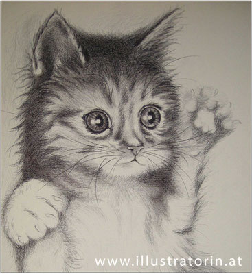 Portrait Katze - Doris Maria Weigl - Illustrationen