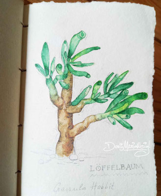 Botanische Illustration - Doris Maria Weigl