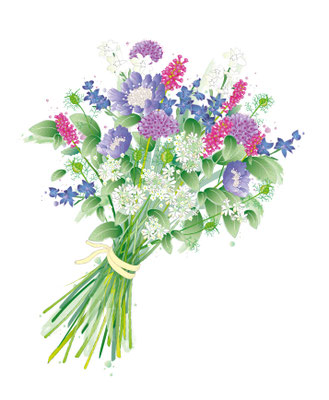 Blumenstrauß für GARTENFLORA - Vektorgrafik - Illustrationen Doris Maria Weigl / Pflanzen