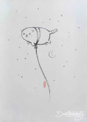 Katze fliegt mit Tusche - Doris Maria Weigl - Illustrationen