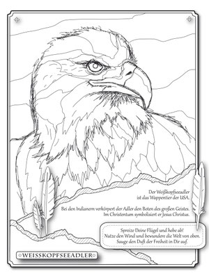 Illustrationen Doris Maria Weigl / Adler Malbuch Farbenzeit - Vektorgrafik