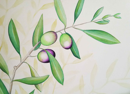 Oliven - Acryl auf Leinen -Illustrationen Doris Maria Weigl 