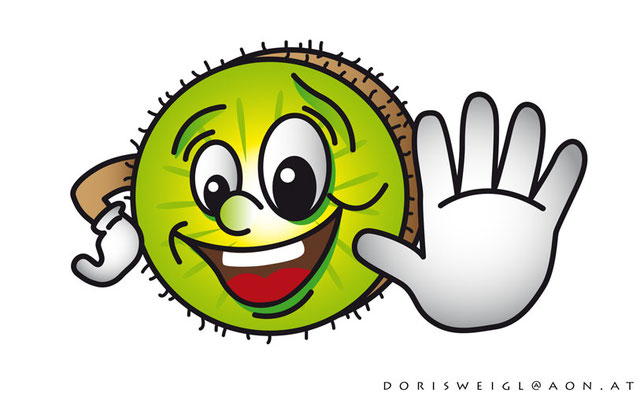 Kiwi - Vektorgrafik- Illustrationen Doris Maria Weigl / Comic
