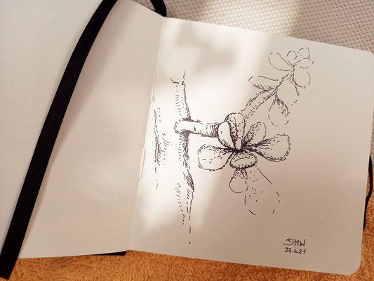 Sketchbook - Illustration - Doris Maria Weigl - "Kreta 1"